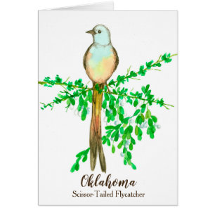 Oklahoma Scissor Tailed Flycatcher Bird Blank