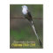 Oklahoma State Bird: Scissor-tailed Flycatcher