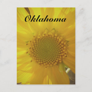 Oklahoma Sunflower Postcard