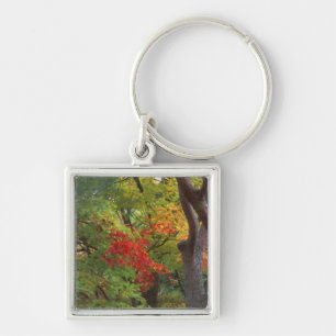 Okochi Sanso, Arashiyama, Kyoto, Japan 5 Keychain