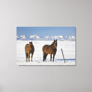 okotoks, alberta, canada canvas print