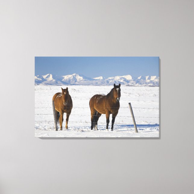 okotoks, alberta, canada canvas print (Front)