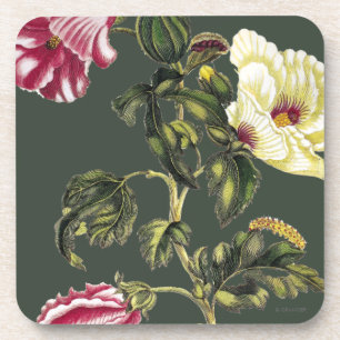 Okra Coaster