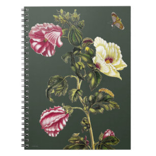Okra Notebook