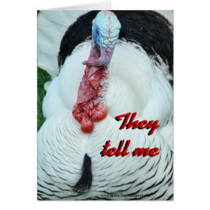 Ol' Ed talkin'-customize any occasion