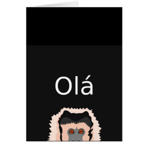 Ola-Singe