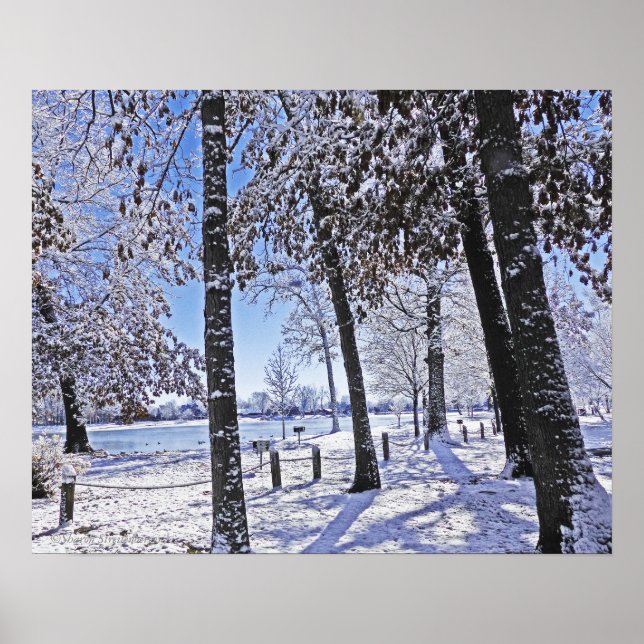 "OLANDER PARK IN SNOW" POSTER (Front)