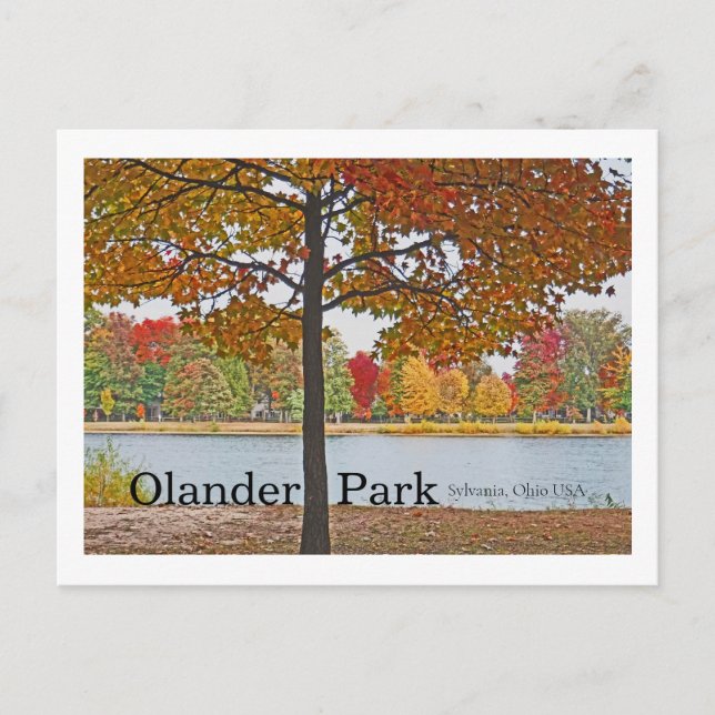 Olander Park, Sylvania,Ohio USA/Autumn Colours Postcard (Front)