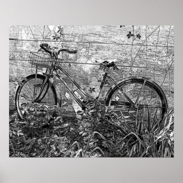 Old Abandoned Bike Drawing, Black and White Poster (Front)