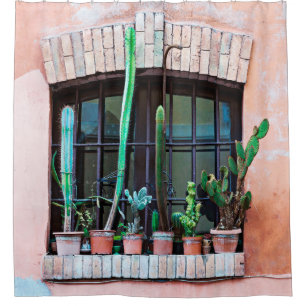 Old abandoned window with group of cactus flower p