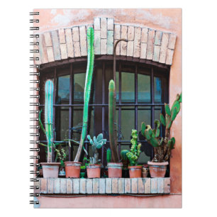 Old abandoned window with group of cactus flower p notebook