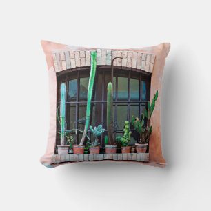Old abandoned window with group of cactus flower p throw pillow