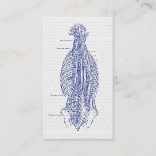 Old Anatomy Illustration The Back Business Card