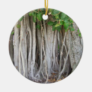 Old ancient ficus tree roots background picture ceramic ornament
