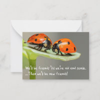 Old and Senile Ladybug New Friends Funny Bestie