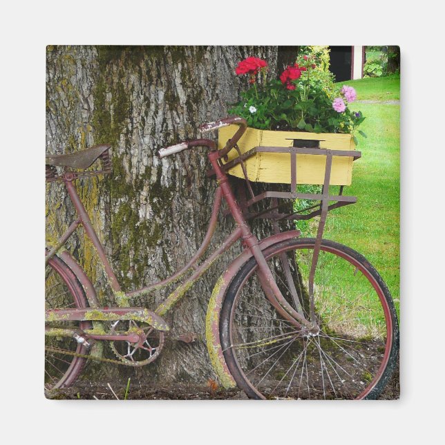 Old Antique Bicycle with Flower Basket Magnet (Front)