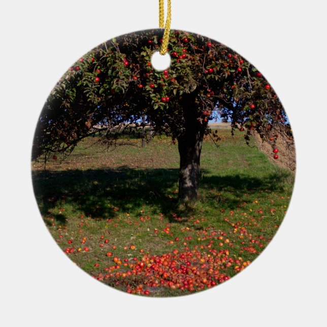 Old Apple Tree Ceramic Ornament (Front)