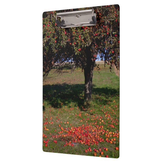 Old Apple Tree Clipboard (Left)