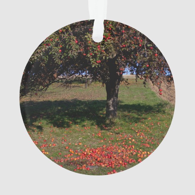 Old Apple Tree Ornament (Back)