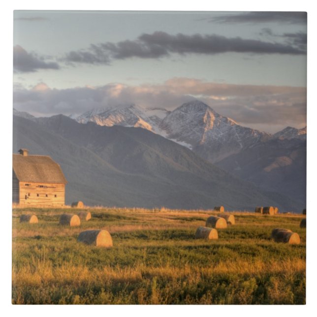 Old barn framed by hay bales and dramatic tile (Front)