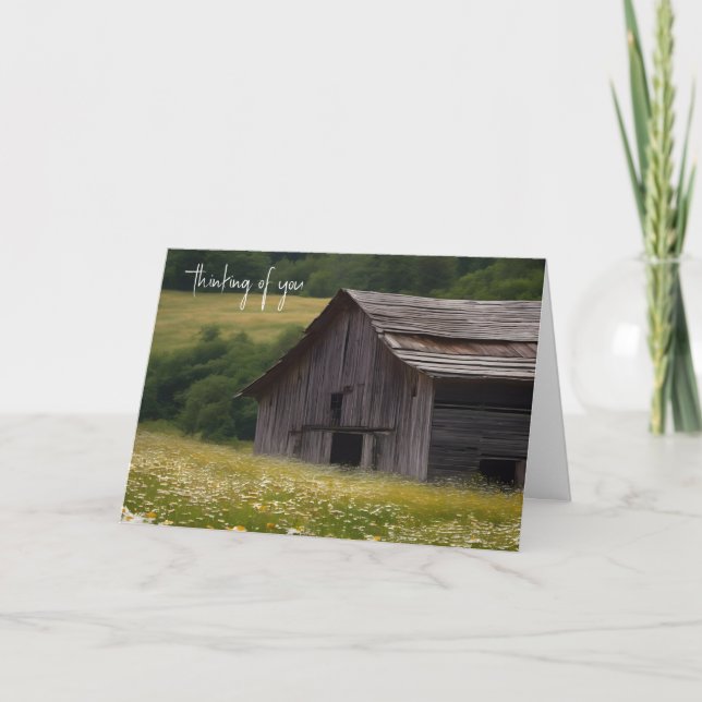 Old Barn In Daisy Field  Card (Front)