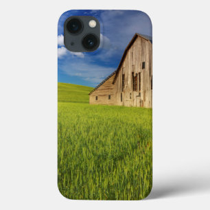 Old Barn in Field of Spring Wheat iPhone 13 Case