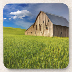 Old Barn in Field of Spring Wheat Coaster