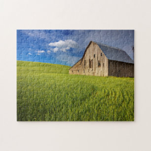 Old Barn in Field of Spring Wheat Jigsaw Puzzle