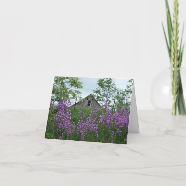 Old Barn Lookin' Back At Me Over Phlox Card (Front)