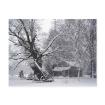 Old Barn & Oak Tree in Rural Winter Snow Photo