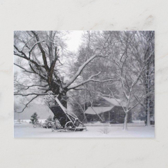Old Barn &amp; Oak Tree in Rural Winter Snow Photo Postcard (Front)