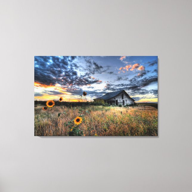 Old Barn on the Prairie with Sunflowers Canvas Print (Front)