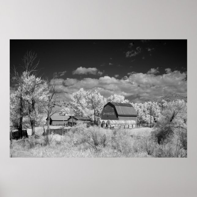 Old Barn Poster (Front)