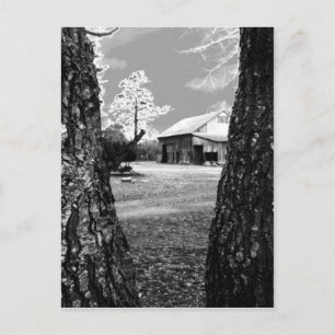 Old Barn Rural Barns Country Black & White Photo Postcard