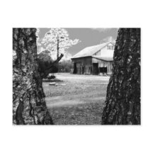 Old Barn Rural Barns Country Black & White Photo
