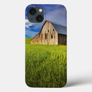 Old Barn Surrounded by Spring Wheat Field 1 iPhone 13 Case