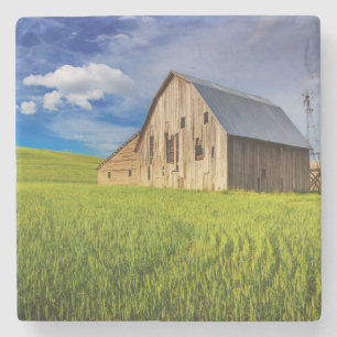 Old Barn Surrounded by Spring Wheat Field 1 Stone Coaster