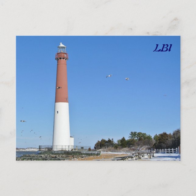 Old Barney - Postcard (Front)