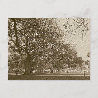 Old Battery Postcard