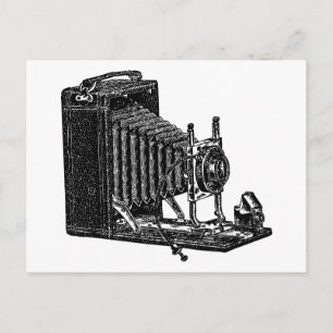 Old Bellows Camera - Vintage Illustration Postcard
