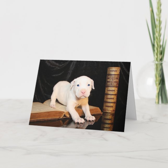 Old Bible, New Puppy Holiday Card (Front)