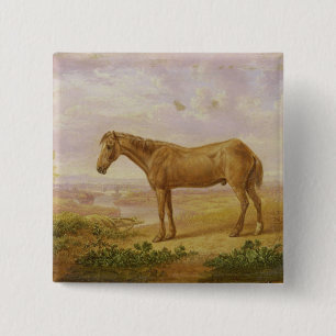 Old Billy, a Draught Horse, Aged 62 (oil on panel) 2 Inch Square Button