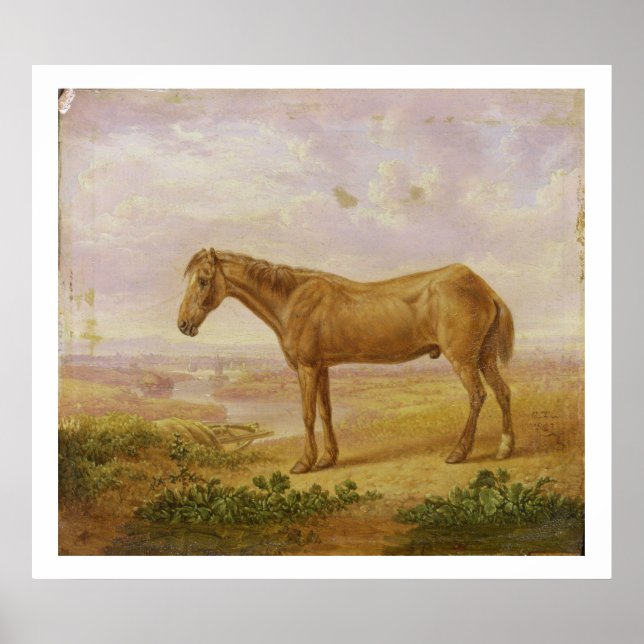 Old Billy, a Draught Horse, Aged 62 (oil on panel) Poster (Front)