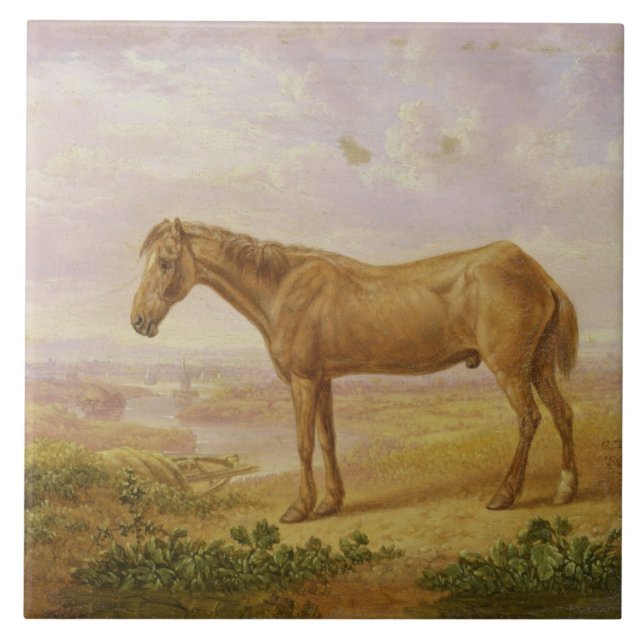 Old Billy, a Draught Horse, Aged 62 (oil on panel) Tile (Front)