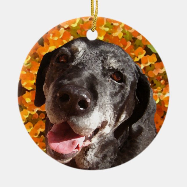 Old Black Labrador Ceramic Ornament (Front)