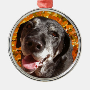Old Black Labrador Metal Ornament