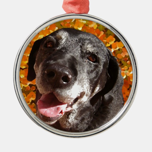 Old Black Labrador Metal Ornament (Front)