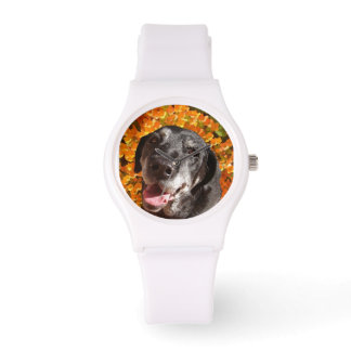 Old Black Labrador Watch