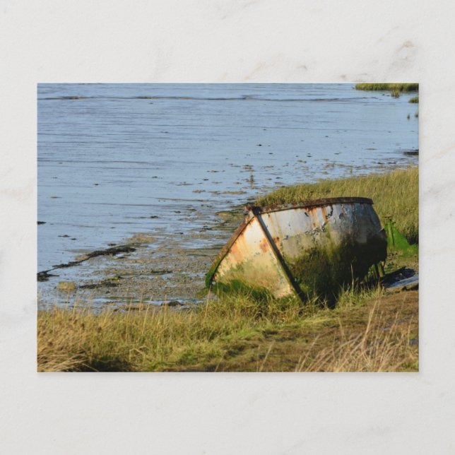 Old Boat in Creek Postcard (Front)
