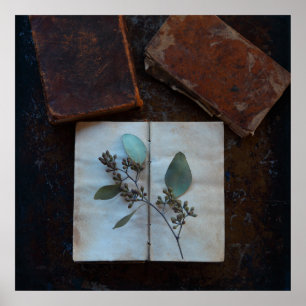 Old book pages with eucalyptus leaves poster